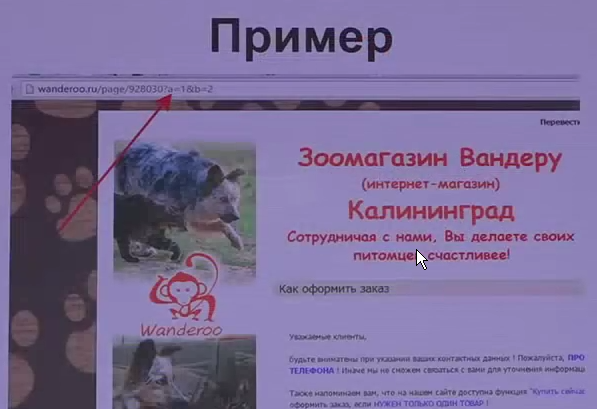 Магазин Белуга Кемерово Каталог Товаров Официальный Сайт